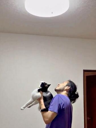 虫、見つけた！ パパに抱き上げられ、天井照明の中の主を見つめるフジくん（画像提供：ろうそくしっぽのフジさん）