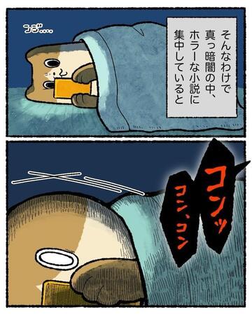 真夜中に不思議な音が…（ゆうさん提供）