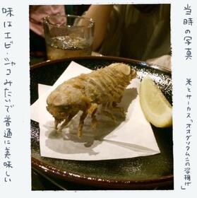オオグソクムシの姿揚げ！（バク・タダノさん提供）