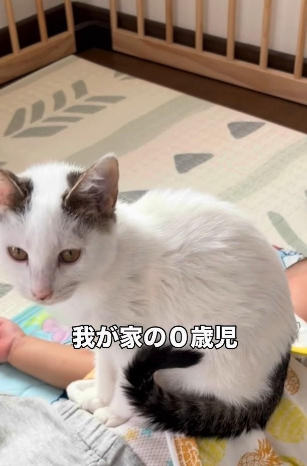 まぐろくんの生まれ変わり！？（「息子君きなこしらたまごましおまぐろ」さん提供、Instagramよりキャプチャ撮影）