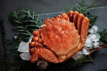 北海道の名産として知られる毛ガニ ※画像はイメージです（sixcube/stock.adobe.com）