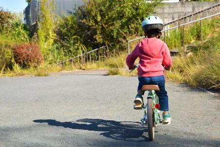 20分くらい自転車で走ったころ、ある実を発見　※画像はイメージです（Photographer YOSHI/stock.adobe.com）