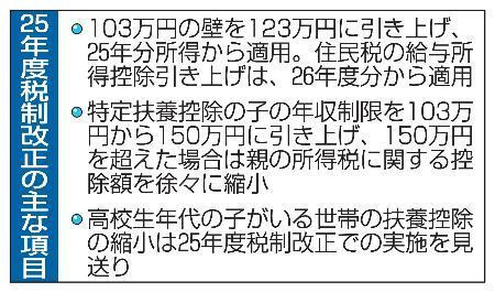 　２５年度税制改正の主な項目