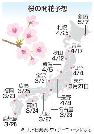 　桜の開花予想（１月８日発表、ウェザーニューズによる）