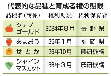 　代表的な品種と育成者権の期限