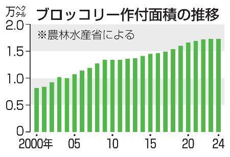 　ブロッコリー作付面積の推移