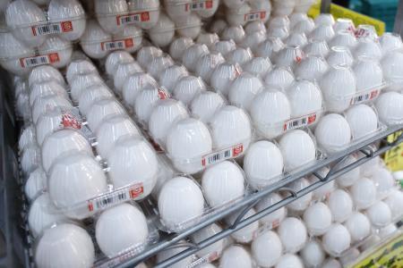 　東京都練馬区のスーパー「アキダイ」関町本店に並ぶ卵パック＝２０２４年１０月