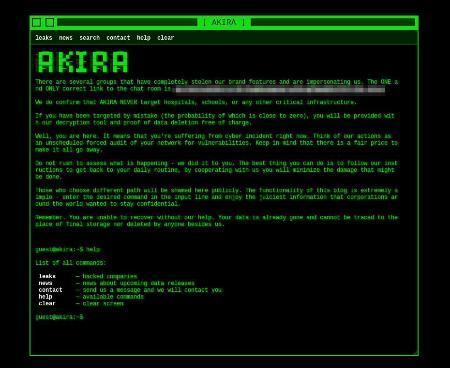 　ハッカーが身代金を要求するサイトの画面（ハッカーの連絡先をモザイク加工しています）