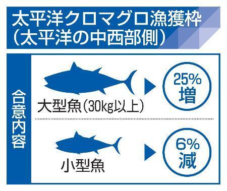 　太平洋クロマグロ漁獲枠（太平洋の中西部側）