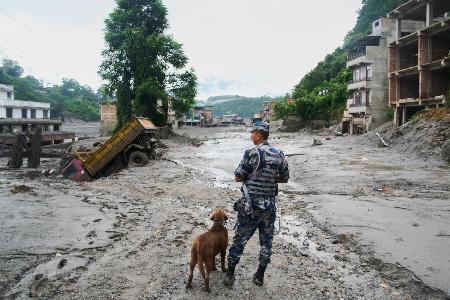 　２７日、ネパール中部で洪水が起きた現場に立つ警察官と捜索犬（ＡＰ＝共同）