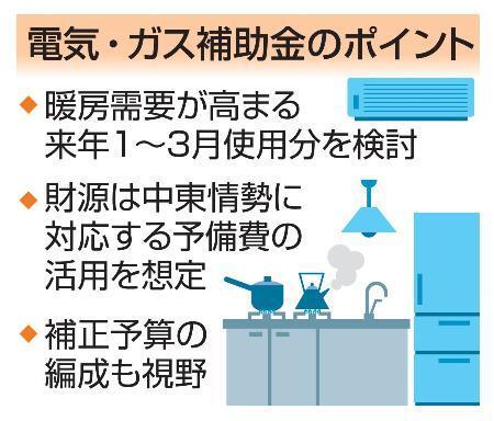 　電気・ガス補助金のポイント