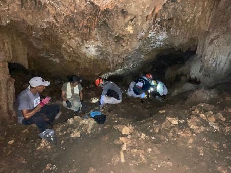 　テニアン島での遺骨収集現場＝８月