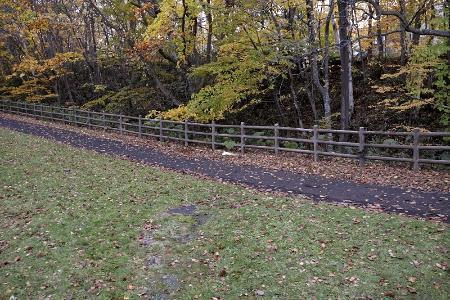 　男子大学生が全裸で倒れているのが発見された現場付近＝１０月２９日、北海道江別市