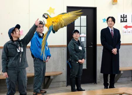 　静岡市立日本平動物園で、ルリコンゴウインコのトレーニングを視察される秋篠宮さま＝１９日午前