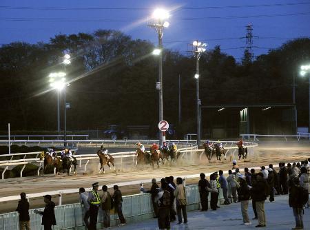 　園田競馬場＝２０１３年、兵庫県尼崎市