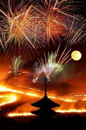 奈良の若草山焼き、一部を有料化　雑踏事故防止で入場料２千円徴収