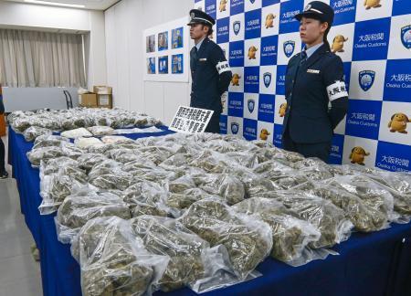 　押収された３１キロ超の乾燥大麻＝２日午後、関西空港