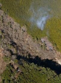 　神奈川県秦野市の山中で発生した火災＝１１日午後２時８分（共同通信社ヘリから）