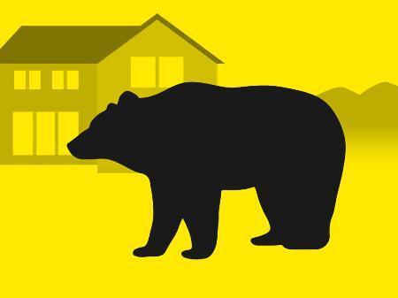 ヒグマの農業被害額が過去最高　北海道調査、２４年度