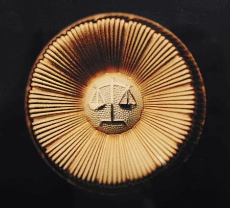 成年後見の弁護士報酬巡り提訴　利用者本人に無断ならば「違法」