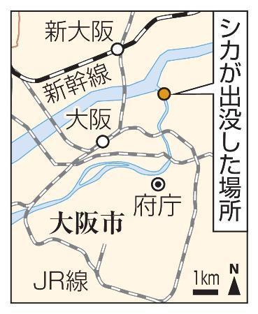 　大阪市都島区・シカが出没した場所、ＪＲ大阪駅