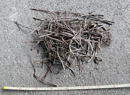 　東北新幹線大宮駅の電柱で巡回中の社員が発見し、撤去されたカラスの巣（ＪＲ東日本提供）