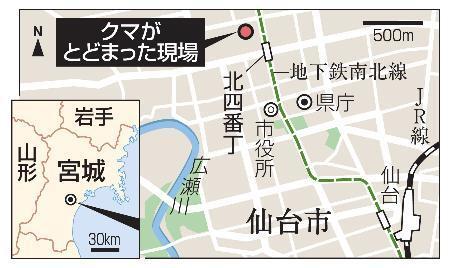 　仙台市青葉区、クマがとどまった現場