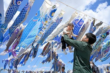　東日本大震災で犠牲になった子どもたちへの鎮魂の思いや未来への希望を込め、掲げられた約５００匹の青いこいのぼり＝５日午後、宮城県東松島市