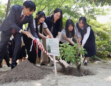 　被爆クスノキの苗木を植樹する人たち＝１３日午前、名古屋市