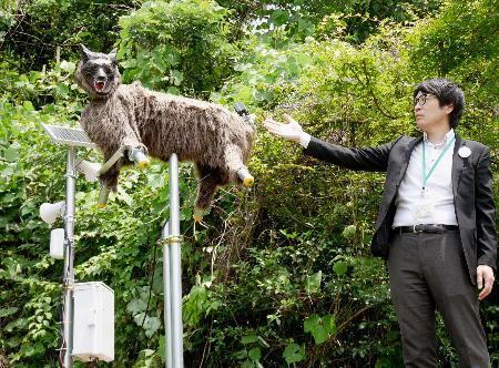 　ファミリーマート日野屋黒保根店の脇に設置した、野生動物撃退装置「モンスターウルフ」＝２４日午前、群馬県桐生市