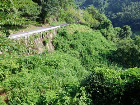 　２人の遺体が見つかった現場付近＝１８日午前、奈良市