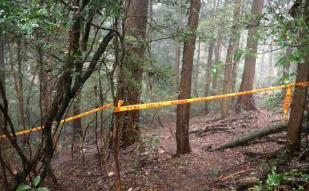 　女性の遺体が見つかった埼玉県飯能市の山林＝２日午後５時３７分