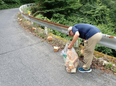 　鳥取県の大山隠岐国立公園内の県道に捨てられた食パンを回収する財団の職員＝１４日（自然公園財団提供）
