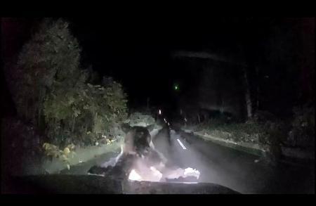 　軽乗用車に体当たりするヒグマ＝９月２９日、北海道美深町（北海道警提供）