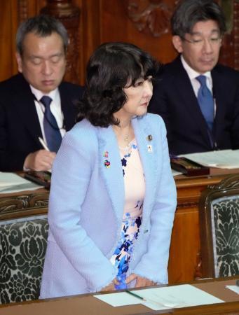 ガソリン減税法、衆院通過 月内にも成立へ