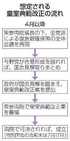 　想定される皇室典範改正の流れ
