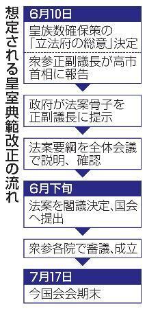 　想定される皇室典範改正の流れ