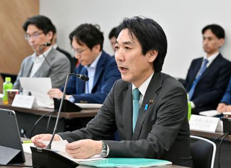 　所得連動給付を巡る協議で発言する城内全世代型社会保障改革相＝３１日午後、東京都港区