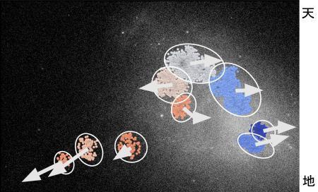 　小マゼラン銀河にある「大質量星」の運動を表した図。銀河を内側から引き裂くように動いている（名古屋大大学院理学研究科天体物理学研究室提供）