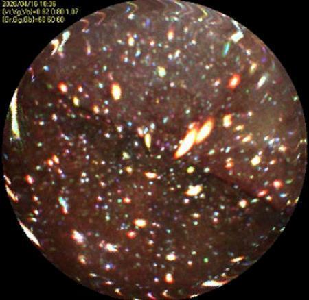 　東京電力福島第１原発２号機の原子炉圧力容器に挿入したファイバースコープで撮影した炉心を囲う隔壁（シュラウド）の外壁＝１６日（東電提供）