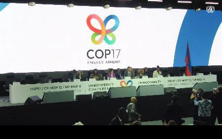 　ＣＯＰ１７の開幕会合＝１９日、アルメニア（国連の中継から）