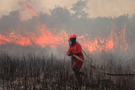 　インドネシアのスマトラ島で、森林火災の消火活動をする消防隊員＝９月１２日（ゲッティ＝共同）