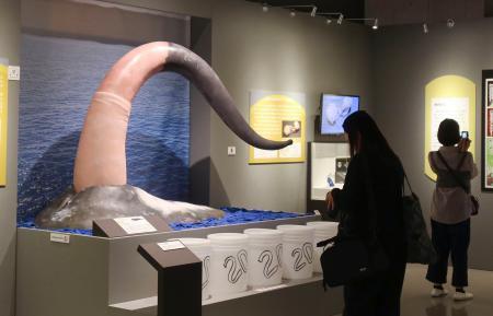 　国立科学博物館の特別展「生きものたちの性」＝３０日午後、東京・上野