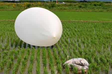 　韓国北西部・江華島で見つかった北朝鮮が飛ばした風船＝１０日（聯合＝共同）