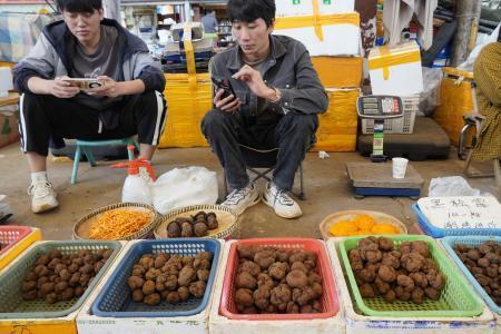 中国、景気低迷でもトリュフ人気 プチぜいたくの消費者心理