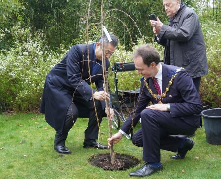 　４日、ロンドン中心部の日本庭園「福島庭園」で、桜の木を植える鈴木浩駐英大使（左）ら（共同）