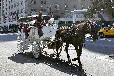 　２０２５年８月、米ニューヨークのセントラルパーク周辺を走る馬車（共同）