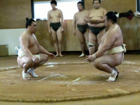 大関稀勢の里と申し合いをする横綱日馬富士（左）