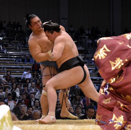 　豊真将（左）を寄り切りで下す日馬富士（撮影・栗木一考）