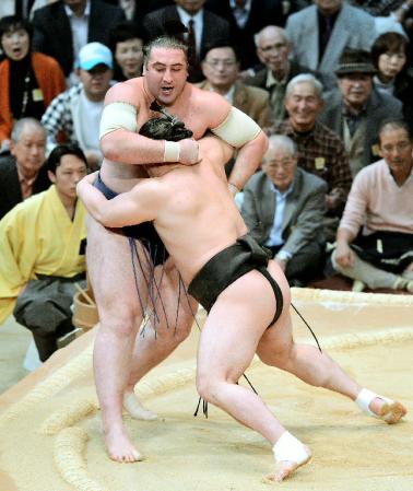 　日馬富士が寄り切りで栃ノ心を下す＝福岡国際センター